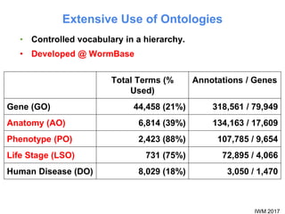 IWM 2017
Extensive Use of Ontologies
• Controlled vocabulary in a hierarchy.
• Developed @ WormBase
Total Terms (%
Used)
Annotations / Genes
Gene (GO) 44,458 (21%) 318,561 / 79,949
Anatomy (AO) 6,814 (39%) 134,163 / 17,609
Phenotype (PO) 2,423 (88%) 107,785 / 9,654
Life Stage (LSO) 731 (75%) 72,895 / 4,066
Human Disease (DO) 8,029 (18%) 3,050 / 1,470
 