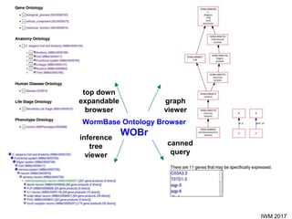 IWM 2017
WormBase Ontology Browser
WOBr
top down
expandable
browser
graph
viewer
inference
tree
viewer
canned
query
 