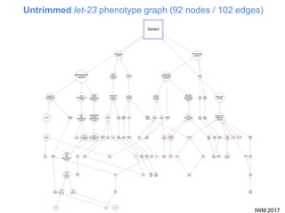 IWM 2017
Untrimmed let-23 phenotype graph (92 nodes / 102 edges)
 