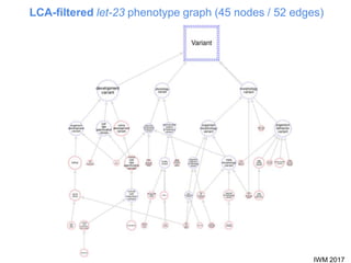 IWM 2017
LCA-filtered let-23 phenotype graph (45 nodes / 52 edges)
 