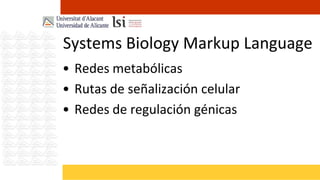 Systems Biology Markup Language
• Redes metabólicas
• Rutas de señalización celular
• Redes de regulación génicas
 