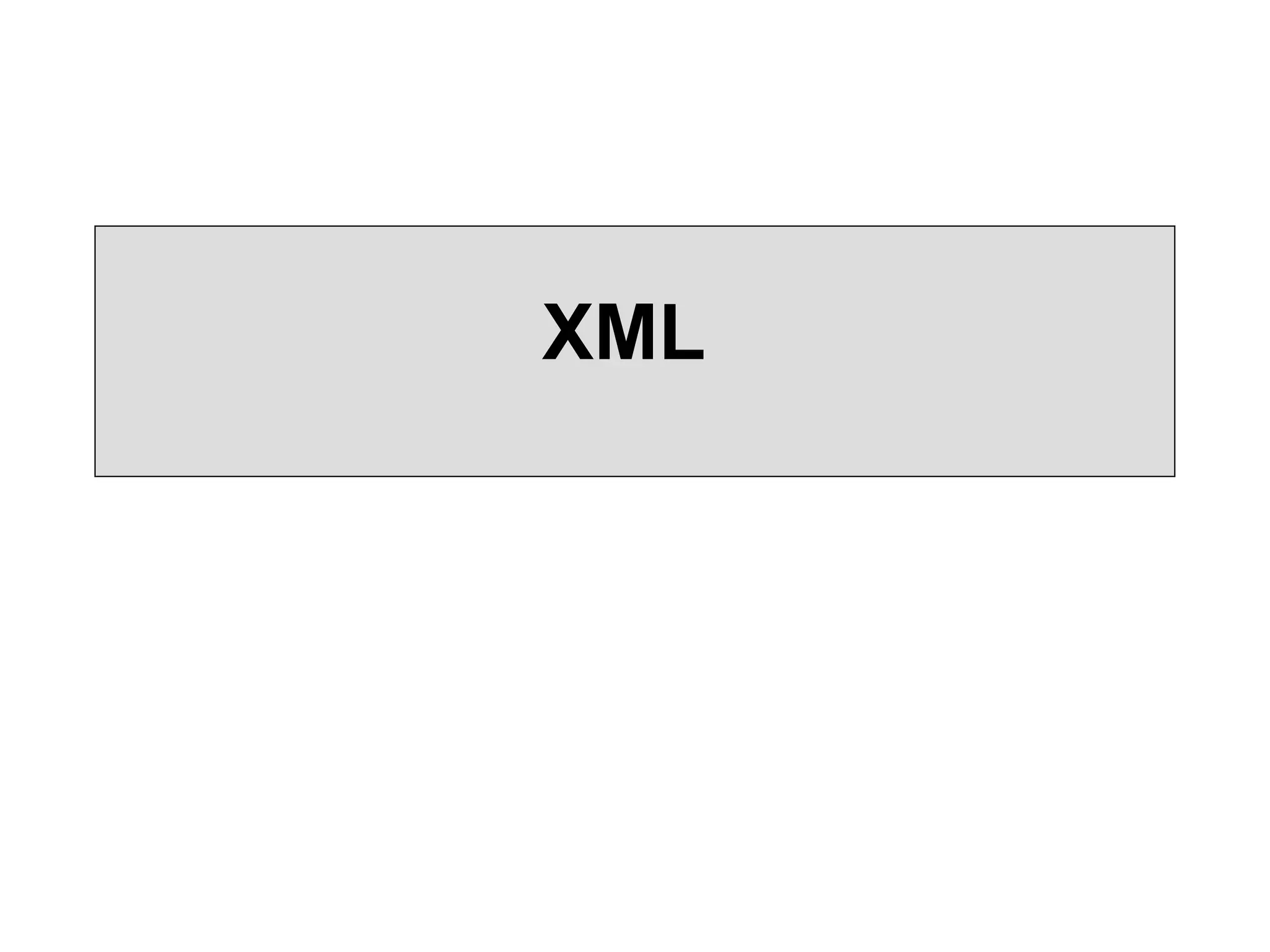 XML 