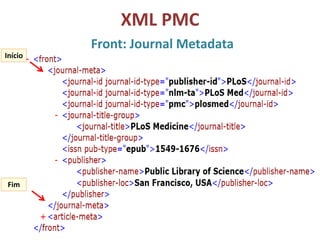 XML PMC
Front: Journal Metadata
Início
Fim
 