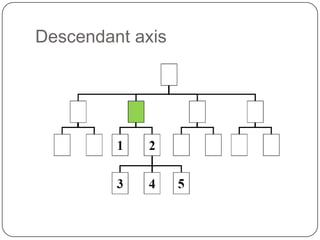 Descendant axis
 