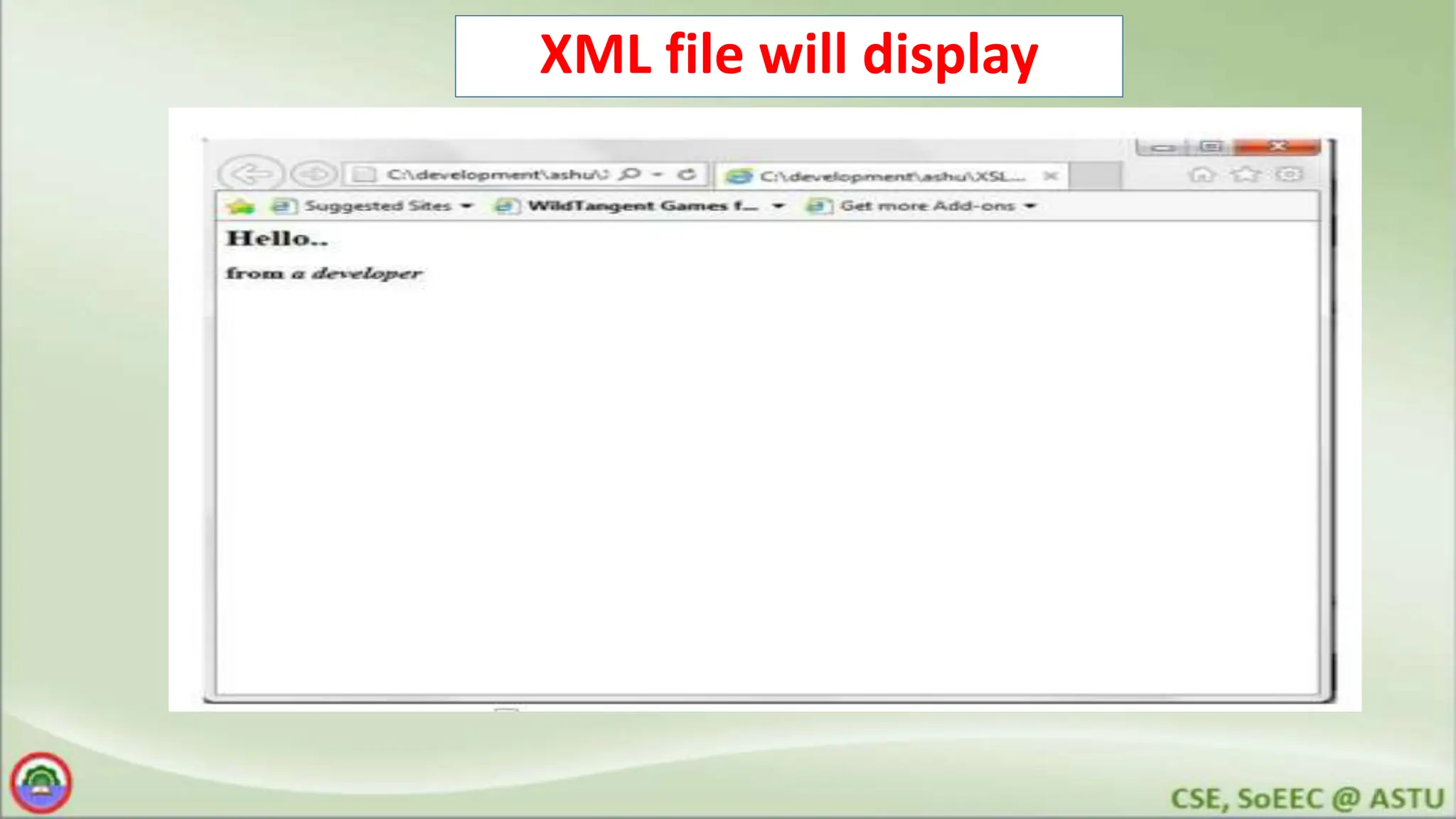 XML file will display
 