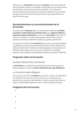 Claro que si, la vitamina B que provee la Racacha, reduce los niveles de
estrés ayudando a reducir la ansiedad y la depresión, por otro lado elimina
la inflamación y optimiza las funciones cerebrales. Es una alimento
recomendable para las personas que sufren de migraña, estrés y dolores
de cabeza. Otros de los beneficios que ofrece es que logran eliminar la
aparición de verrugas.
Recomendaciones y contraindicaciones de la
Arracacha
El consumo de la Racacha debe ser supervisada y moderada, no existe
una dosis o ración oficial por persona al día, pero algunos medicos o
centros de salud recomiendan consumir una Arracache al día, entre 3 a
4 veces a la semana, no te preocupes puedes variar la dieta con este
alimento, asimismo sus beneficios extensos y puedes aprovecharlo.
El consumo en exceso de la Arracache logra producir reacciones alérgicas
o problemas en la piel, asimismo puede ocasionar vómitos, flatulencias y
distensión abdominal. El efecto secundario negativo mas frecuentes es la
diarrea o heces sueltas y mucho mas si se consume en cantidades
excesivas, esto se debe a las propiedades laxantes que posee el tubérculo.
Preguntas sobre la Arracacha
¿Cuantas Calorías tiene la Arracacha?
La Arracache es un alimento recomendable para las personas que no
desean engorda, el tubérculo posee 104 calorías por cada 100 gramos.
¿La Arracacha ayuda adelgazar?
Claro que si, lo que hace la Racacha es que te da un placer de saciedad en
el cual elimina las ansias de comer, al contrario es un alimento que
proporciona nutrientes y carbohidratos a nuestro cuerpo buenos para la
salud, y recomendable implementarlo en la dieta para bajar de peso.
Imágenes de la Arracacha
5/6
 