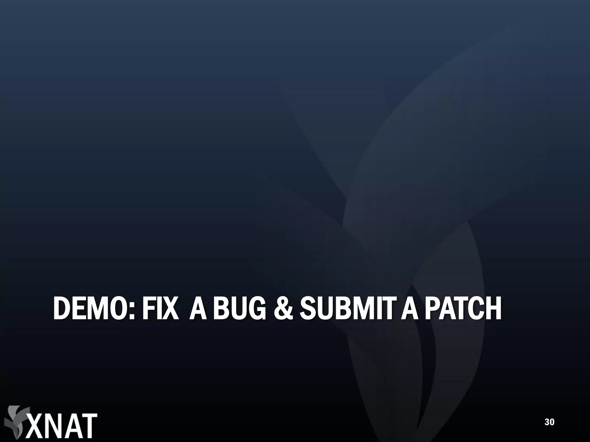 DEMO: FIX A BUG & SUBMIT A PATCH 30 
