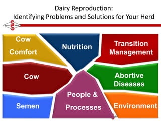 Dairy Reproduction:
Identifying Problems and Solutions for Your Herd
Nutrition Transition
Management
Abortive
Diseases
Environment
Cow
Semen
Ray Nebel, PhD
Select Sires, Inc.
Cow
Comfort
People &
Processes
 