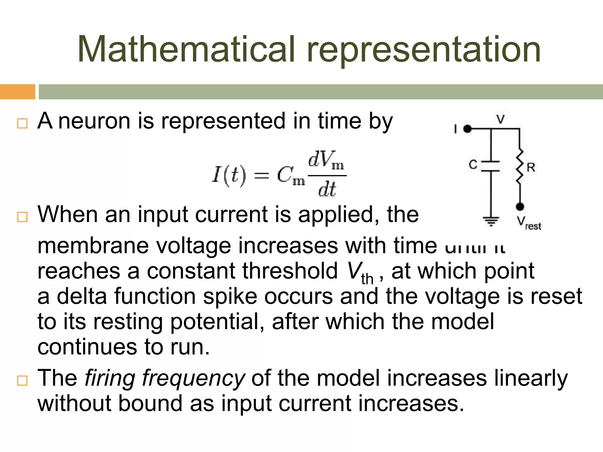Mathematical representation
   A neuron is represented in time by


   When an input current is applied, the
    membrane voltage increases with time until it
    reaches a constant threshold Vth , at which point
    a delta function spike occurs and the voltage is reset
    to its resting potential, after which the model
    continues to run.
   The firing frequency of the model increases linearly
    without bound as input current increases.
 