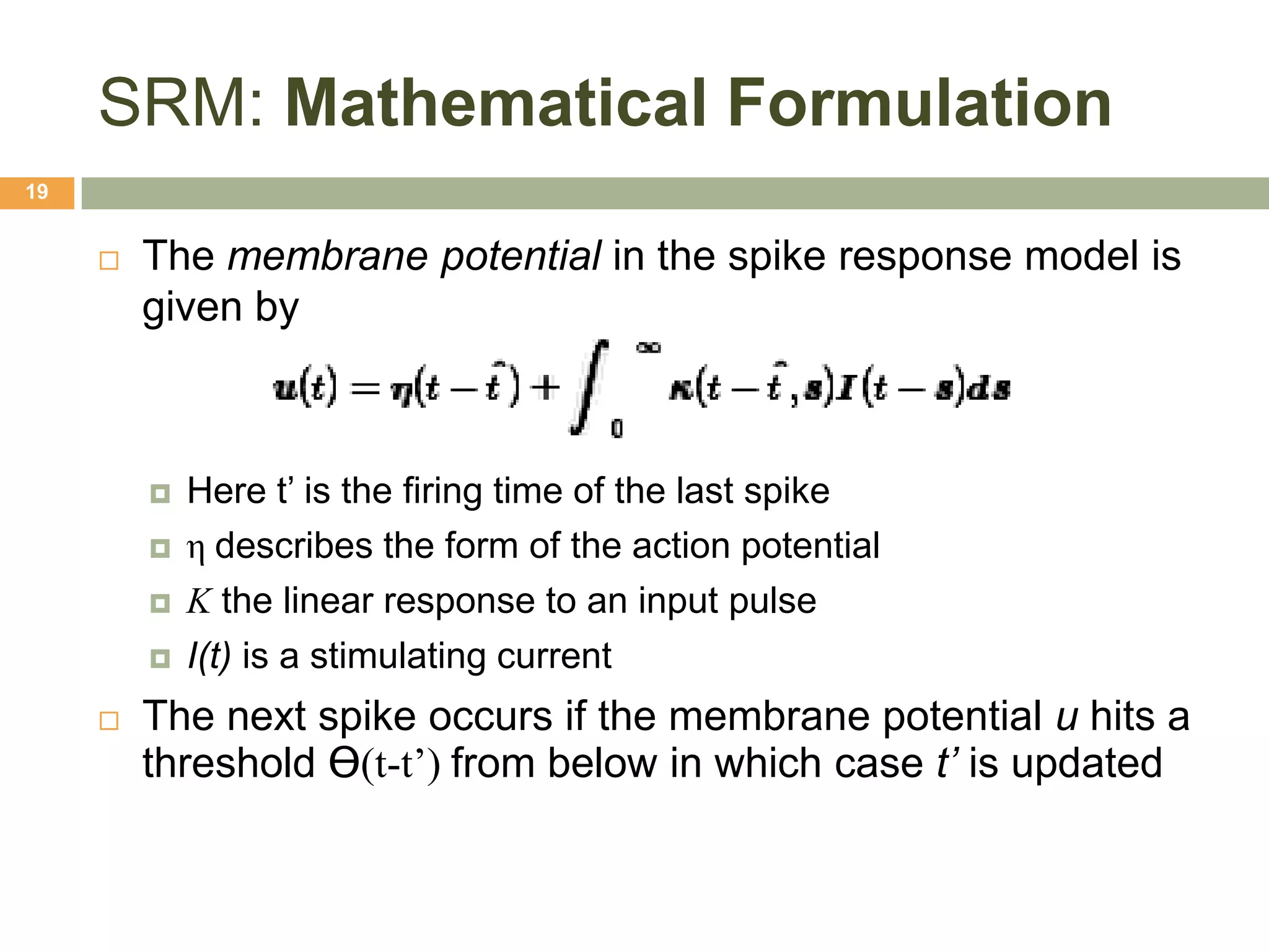 SRM: Mathematical Formulation
19


        The membrane potential in the spike response model is
         given by



            Here t’ is the firing time of the last spike
            η describes the form of the action potential
            Κ the linear response to an input pulse
            I(t) is a stimulating current
        The next spike occurs if the membrane potential u hits a
         threshold Ɵ(t-t’) from below in which case t’ is updated
 