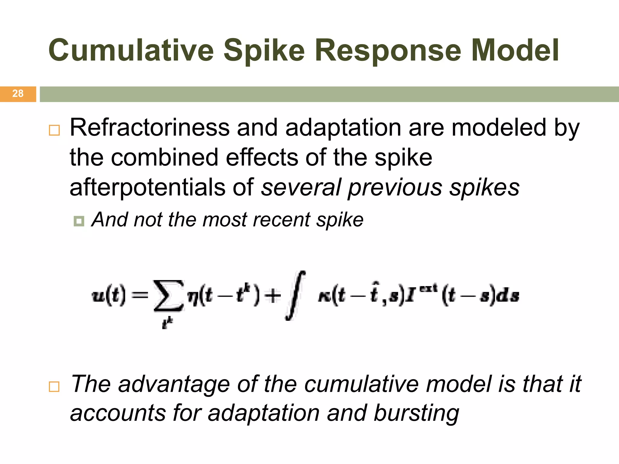 Cumulative Spike Response Model
28


        Refractoriness and adaptation are modeled by
         the combined effects of the spike
         afterpotentials of several previous spikes
            And not the most recent spike




        The advantage of the cumulative model is that it
         accounts for adaptation and bursting
 