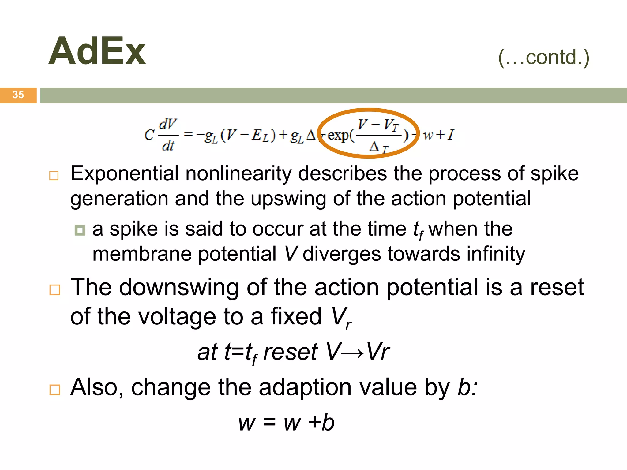 AdEx                                              (…contd.)
35




        Exponential nonlinearity describes the process of spike
         generation and the upswing of the action potential
          a spike is said to occur at the time tf when the
           membrane potential V diverges towards infinity
        The downswing of the action potential is a reset
         of the voltage to a fixed Vr
                      at t=tf reset V→Vr
        Also, change the adaption value by b:
                          w = w +b
 