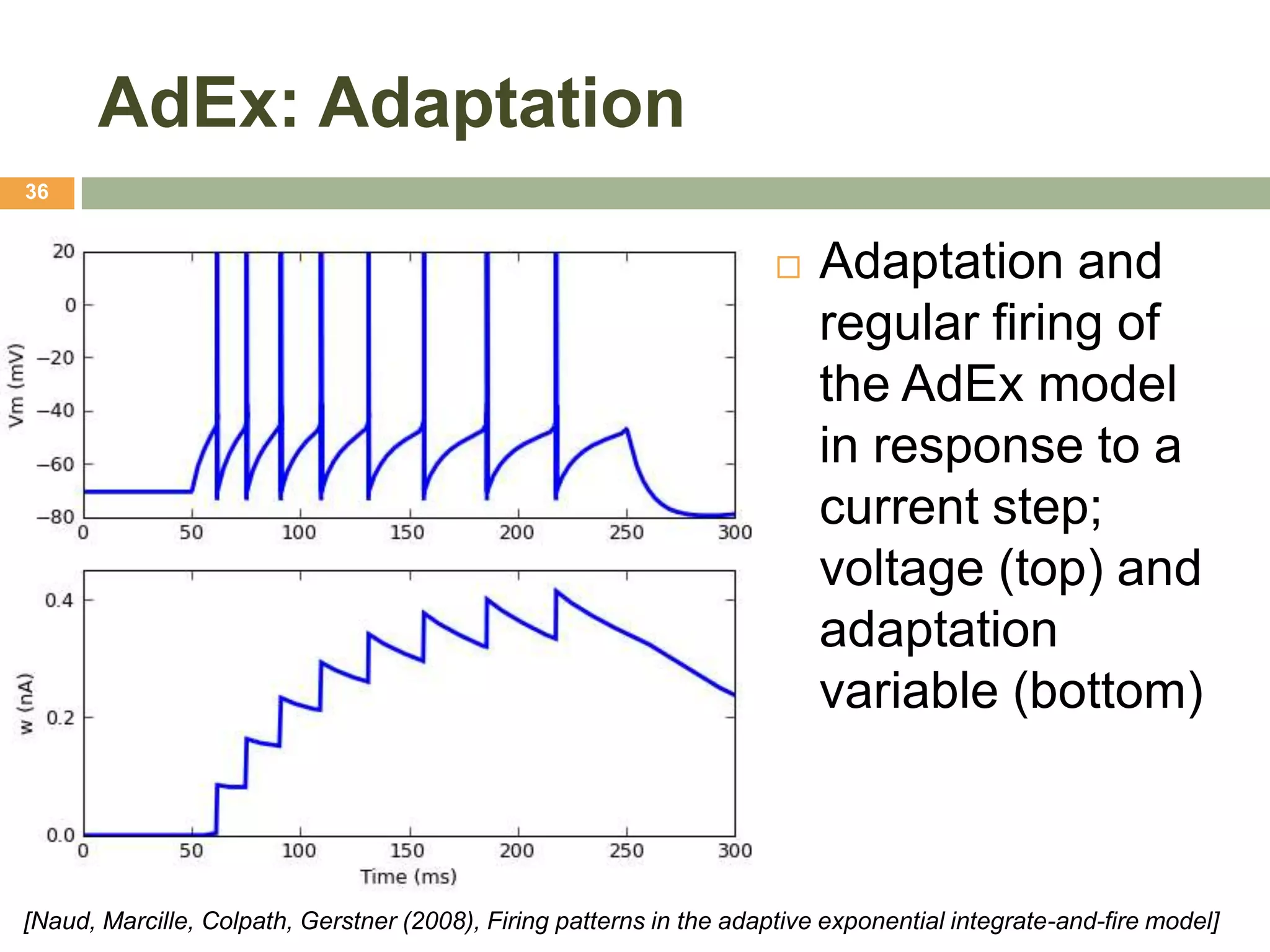 AdEx: Adaptation
36


                                                                         Adaptation and
                                                                          regular firing of
                                                                          the AdEx model
                                                                          in response to a
                                                                          current step;
                                                                          voltage (top) and
                                                                          adaptation
                                                                          variable (bottom)



[Naud, Marcille, Colpath, Gerstner (2008), Firing patterns in the adaptive exponential integrate-and-fire model]
 