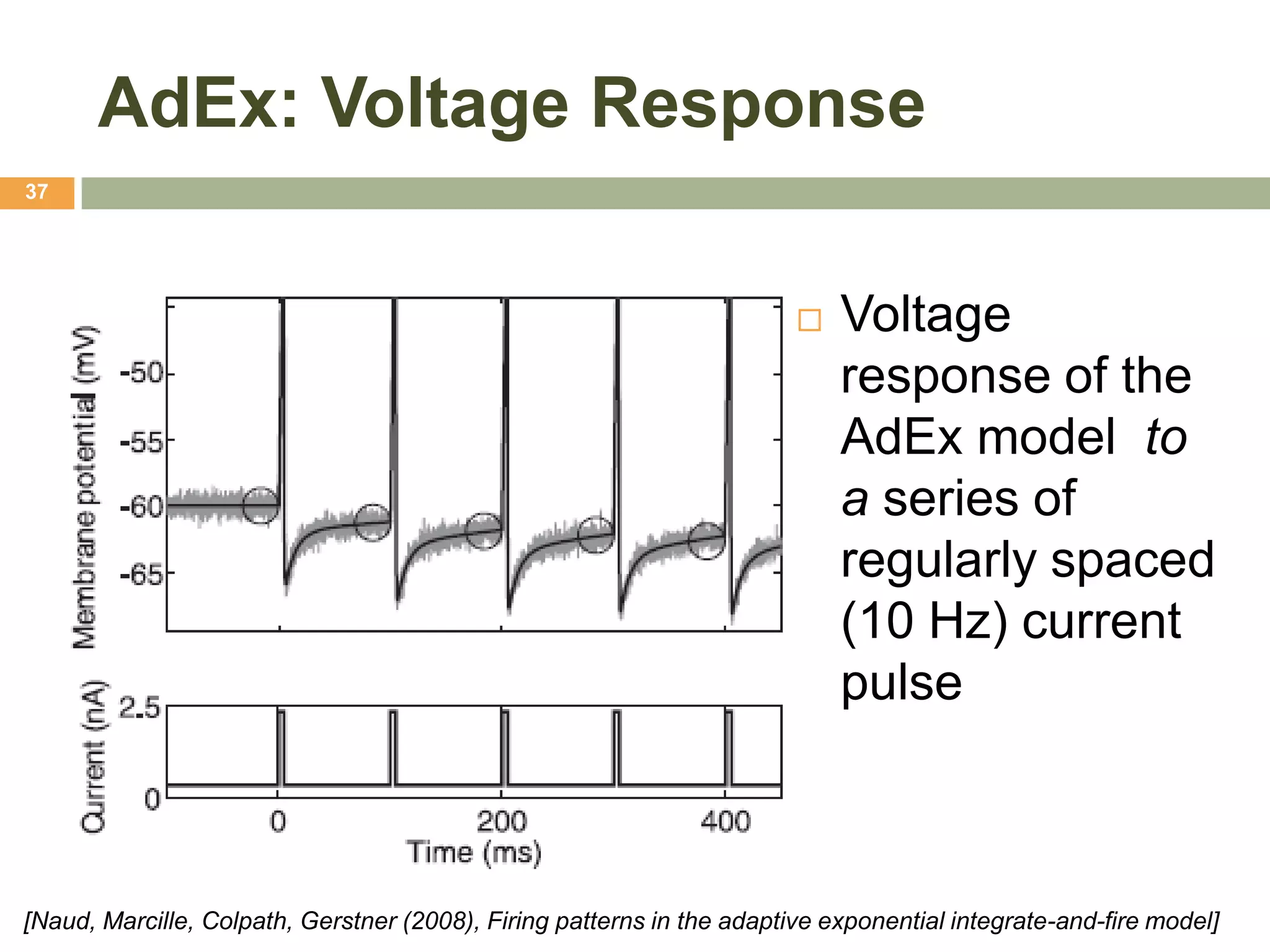 AdEx: Voltage Response
37




                                                                           Voltage
                                                                            response of the
                                                                            AdEx model to
                                                                            a series of
                                                                            regularly spaced
                                                                            (10 Hz) current
                                                                            pulse



[Naud, Marcille, Colpath, Gerstner (2008), Firing patterns in the adaptive exponential integrate-and-fire model]
 