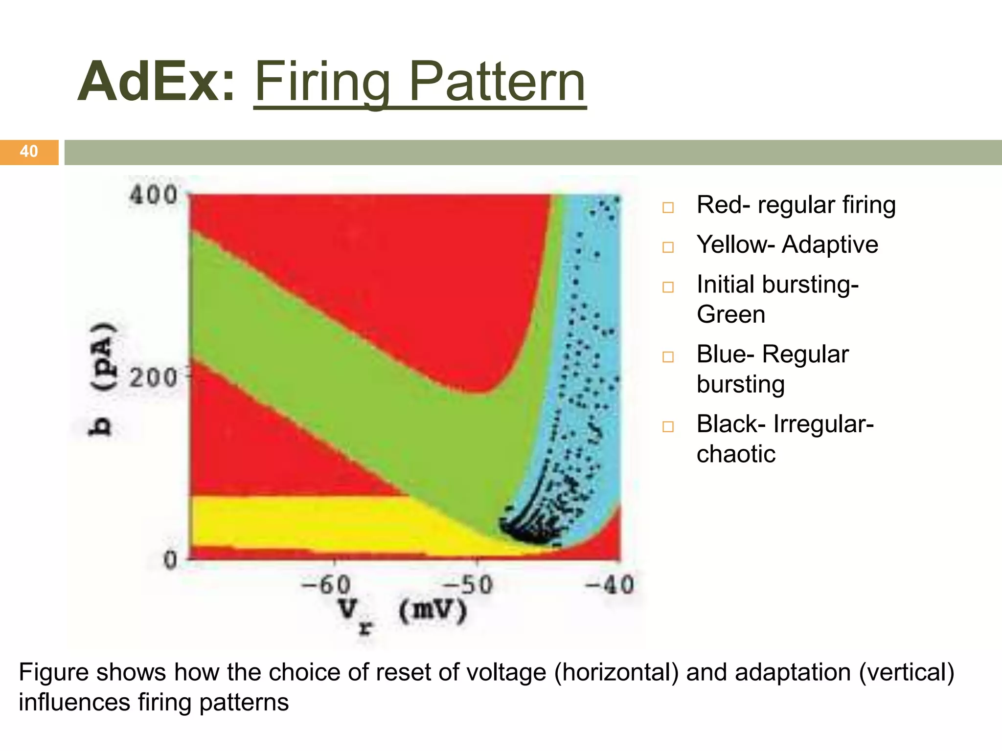 AdEx: Firing Pattern
40


                                                              Red- regular firing
                                                              Yellow- Adaptive
                                                              Initial bursting-
                                                               Green
                                                              Blue- Regular
                                                               bursting
                                                              Black- Irregular-
                                                               chaotic




Figure shows how the choice of reset of voltage (horizontal) and adaptation (vertical)
influences firing patterns
 