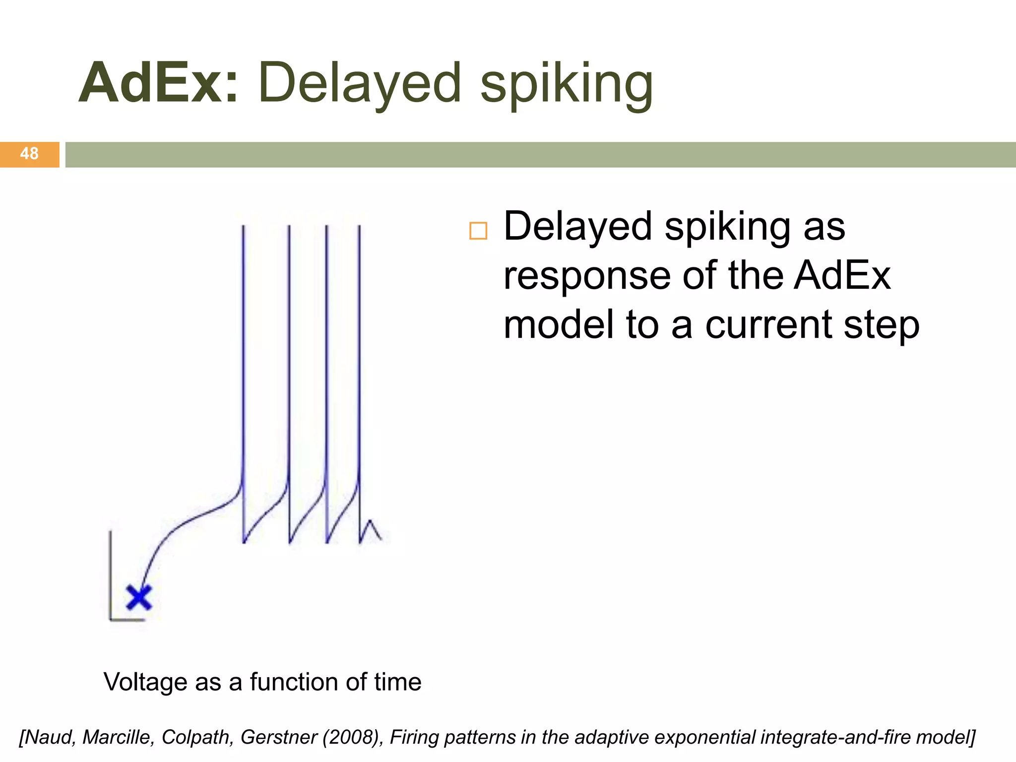 AdEx: Delayed spiking
48



                                                       Delayed spiking as
                                                        response of the AdEx
                                                        model to a current step




         Voltage as a function of time

[Naud, Marcille, Colpath, Gerstner (2008), Firing patterns in the adaptive exponential integrate-and-fire model]
 