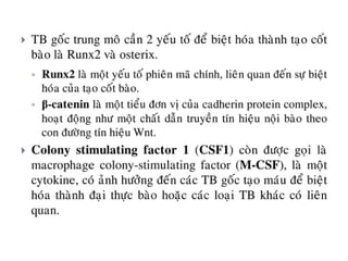 xương ổ răng.pdf