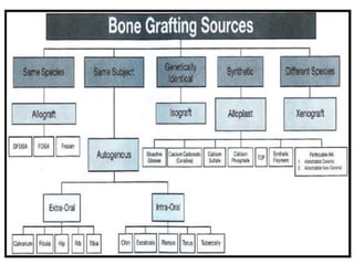 xương ổ răng.pdf