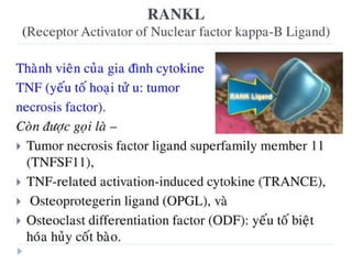 xương ổ răng.pdf