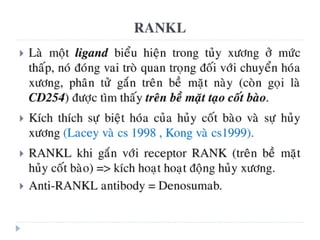 xương ổ răng.pdf