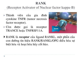 xương ổ răng.pdf