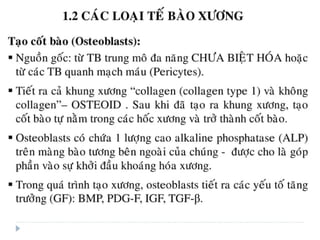 xương ổ răng.pdf