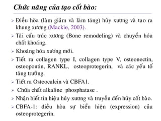 xương ổ răng.pdf