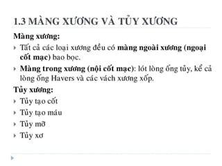xương ổ răng.pdf