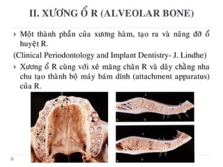 xương ổ răng.pdf