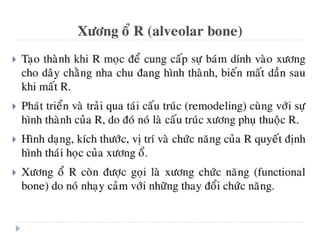 xương ổ răng.pdf