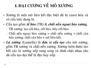 xương ổ răng.pdf