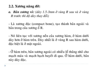 xương ổ răng.pdf