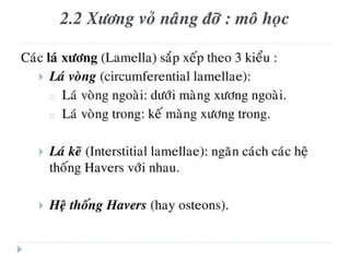 xương ổ răng.pdf