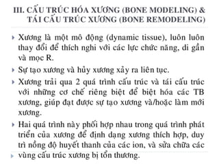 xương ổ răng.pdf