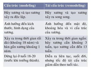 xương ổ răng.pdf