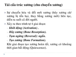 xương ổ răng.pdf