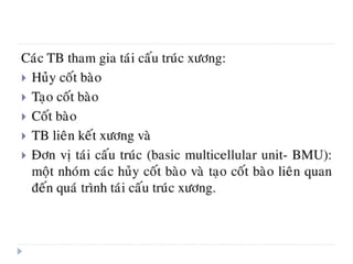 xương ổ răng.pdf