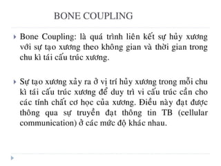 xương ổ răng.pdf