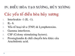 xương ổ răng.pdf
