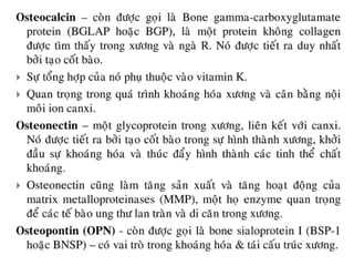 xương ổ răng.pdf