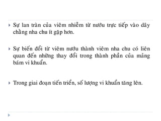 xương ổ răng.pdf