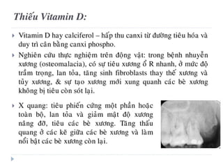 xương ổ răng.pdf