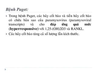 xương ổ răng.pdf