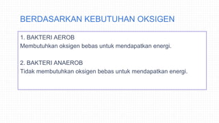 BERDASARKAN KEBUTUHAN OKSIGEN
1. BAKTERI AEROB
Membutuhkan oksigen bebas untuk mendapatkan energi.
2. BAKTERI ANAEROB
Tidak membutuhkan oksigen bebas untuk mendapatkan energi.
 