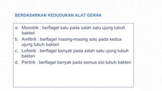 BERDASARKAN KEDUDUKAN ALAT GERAK
a. Monotrik : berflagel satu pada salah satu ujung tubuh
bakteri
b. Amfitrik : berflagel masing-masing satu pada kedua
ujung tubuh bakteri
c. Lofotrik : berflagel banyak pada salah satu ujung tubuh
bakteri
d. Peritrik : berflagel banyak pada semua sisi tubuh bakteri
 