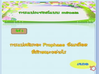 เกม Xo การแบ่งเซลล์ ไมโทซีส