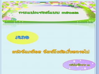 เกม Xo การแบ่งเซลล์ ไมโทซีส