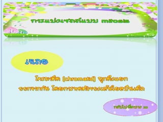 เกม Xo การแบ่งเซลล์ ไมโทซีส