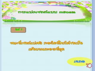 เกม Xo การแบ่งเซลล์ ไมโทซีส
