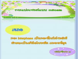 เกม Xo การแบ่งเซลล์ ไมโทซีส